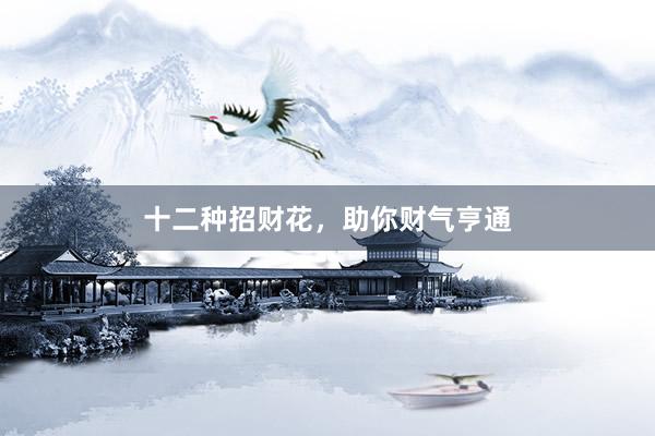 十二种招财花,助你财气亨通