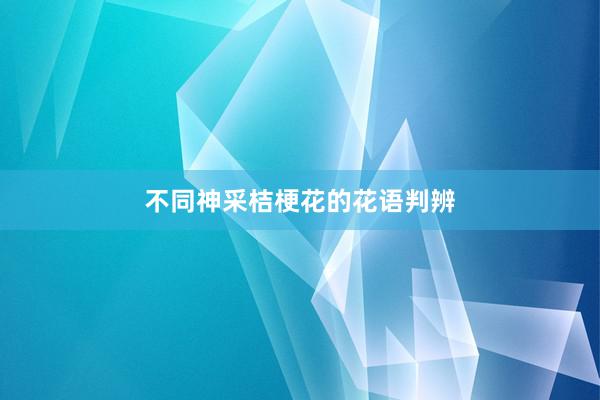 不同神采桔梗花的花语判辨