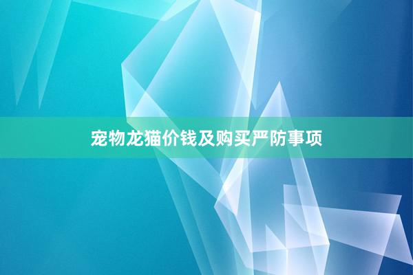 宠物龙猫价钱及购买严防事项